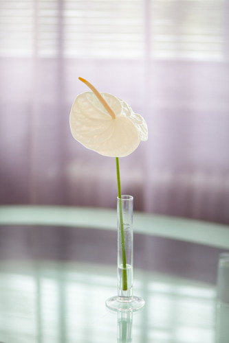 Wonderful and charming flat in München Westend Mountain View