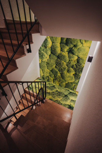 Aquarium Apartment – High-Quality Home with Three Themed Living Areas