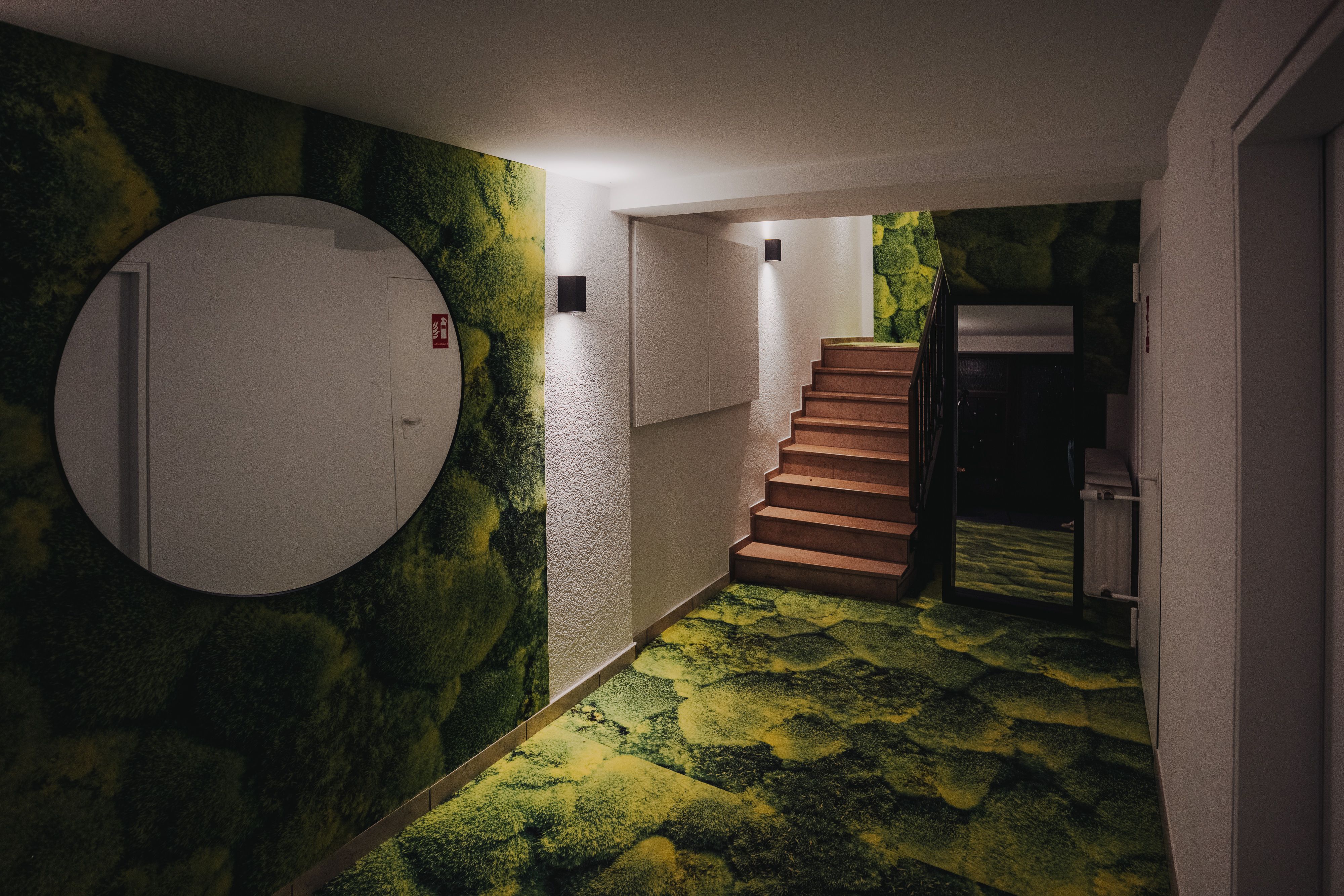 Aquarium Apartment – High-Quality Home With Three Themed Living Areas - Aquarium Apartment – High-Quality Home with Three Themed Living Areas - Gallery - 17