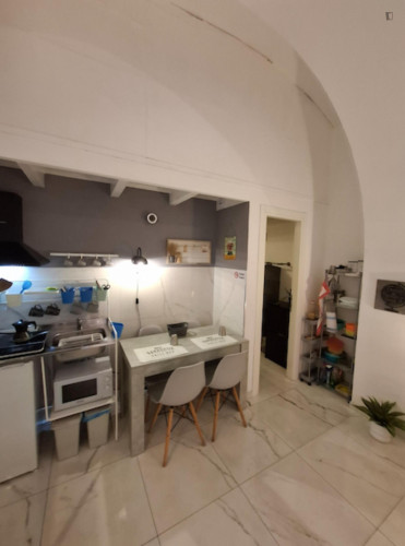 Loft for one person or a couple in San Lorenzo