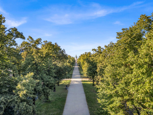 Cozy new home in quiet street
