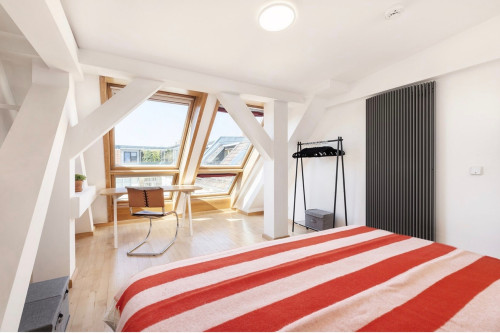 Sunny, quiet, large rooftop apartment in Helmholtz, Prenzlauer Berg