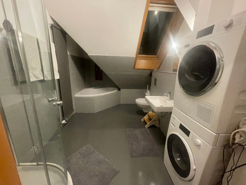 Sunny, quiet, large rooftop apartment in Helmholtz, Prenzlauer Berg