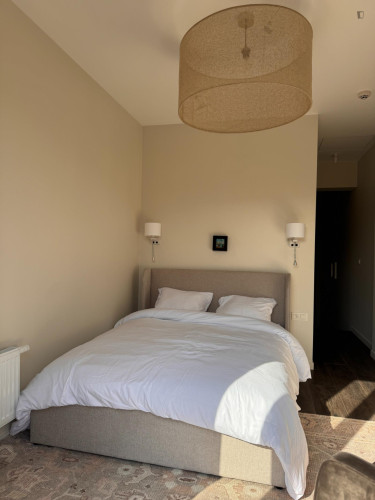 Modern ensuite double bedroom in Seefhoek