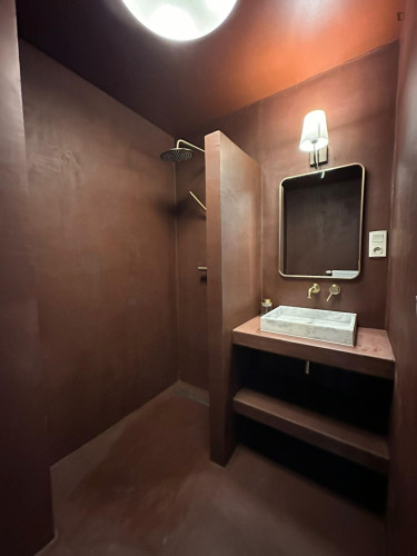 Appealing studio in Seefhoek - Gallery - 8