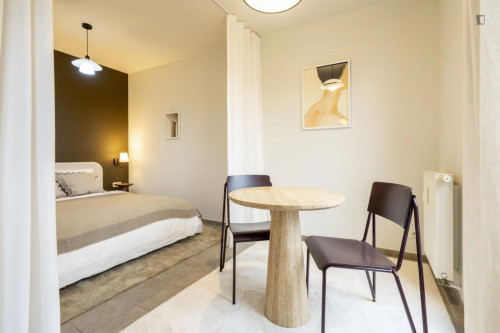 Excellent studio in well-connected Seefhoek