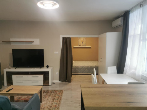 Deligthful 1-bedroom apartment in Krisztinaváros