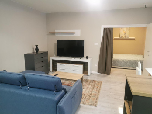 Deligthful 1-bedroom apartment in Krisztinaváros