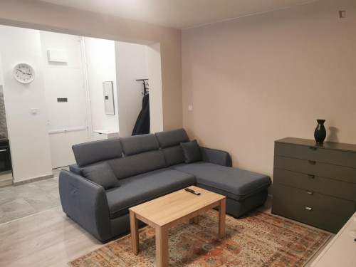 Deligthful 1-bedroom apartment in Krisztinaváros