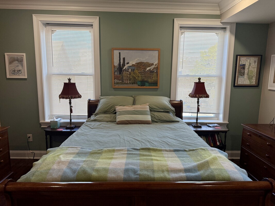 Large Sunny Guest Room(Full Room) - 1