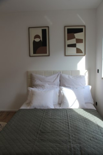 Business Apartment