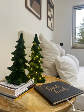  Business Apartment  -  Business Apartment  - Gallery -  2