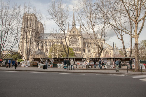 COLBERT STUDIO behind Notre Dame de Paris Cathedral