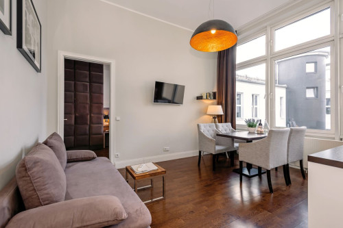 Luxurious Apartment - Mitte (Berlin)