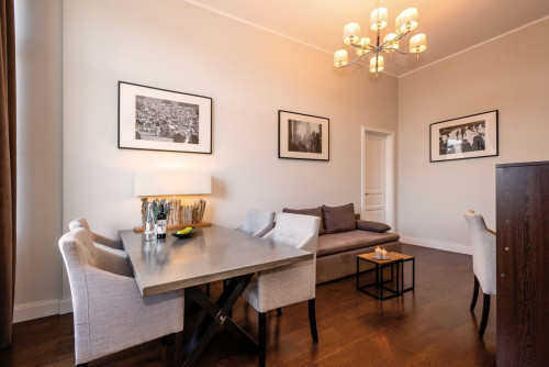 Luxurious Apartment - Mitte (Berlin)