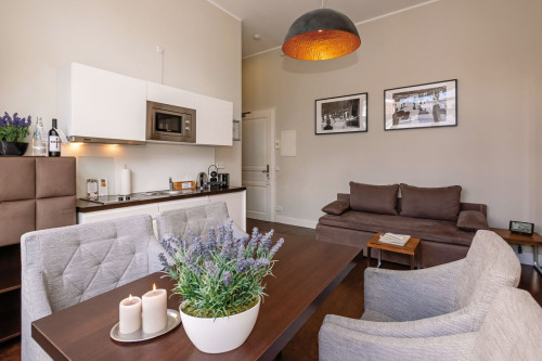 Luxurious Apartment - Mitte (Berlin)