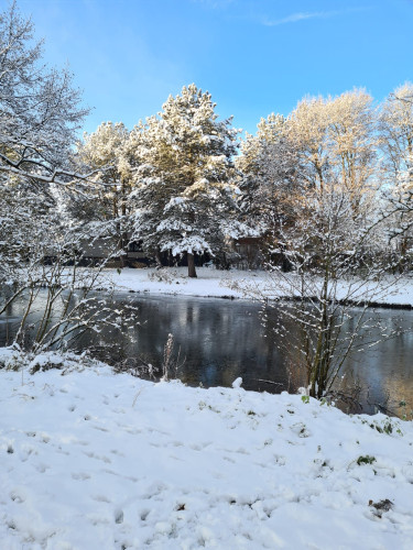Fewo mitten in Schleswig-Holstein - Gallery - 26