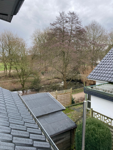 Fewo mitten in Schleswig-Holstein - Gallery - 23