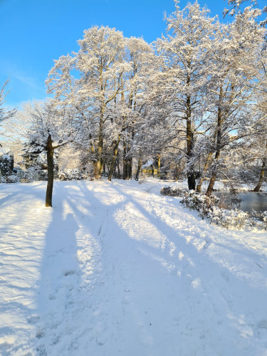 Fewo mitten in Schleswig-Holstein - Gallery - 27