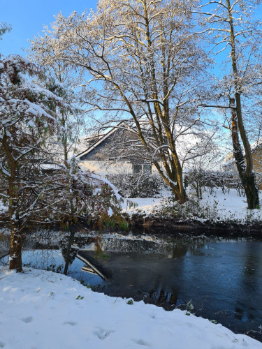 Fewo mitten in Schleswig-Holstein - Gallery - 25