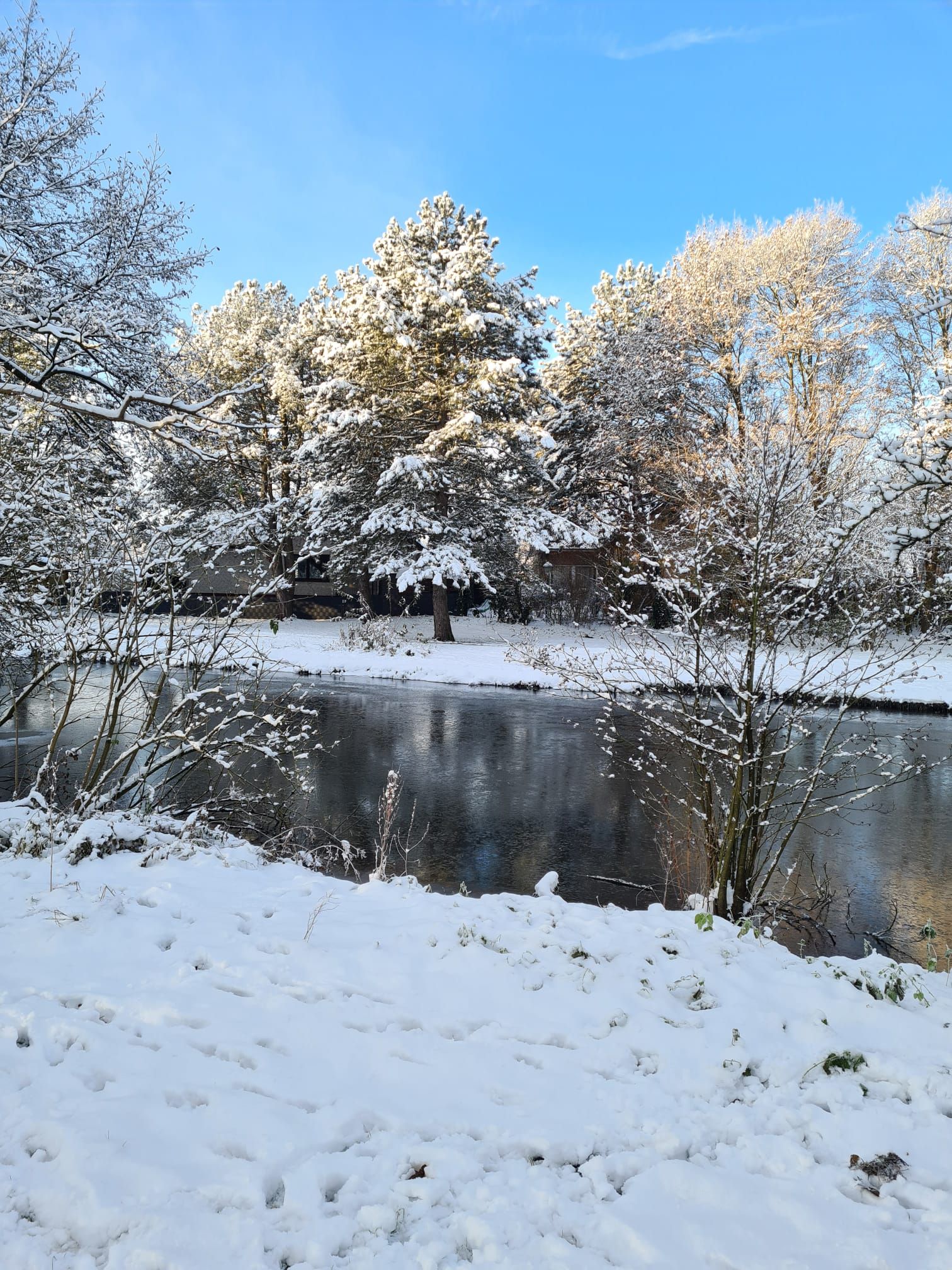  Fewo Mitten In Schleswig-Holstein  -  Fewo mitten in Schleswig-Holstein  - Gallery -  7