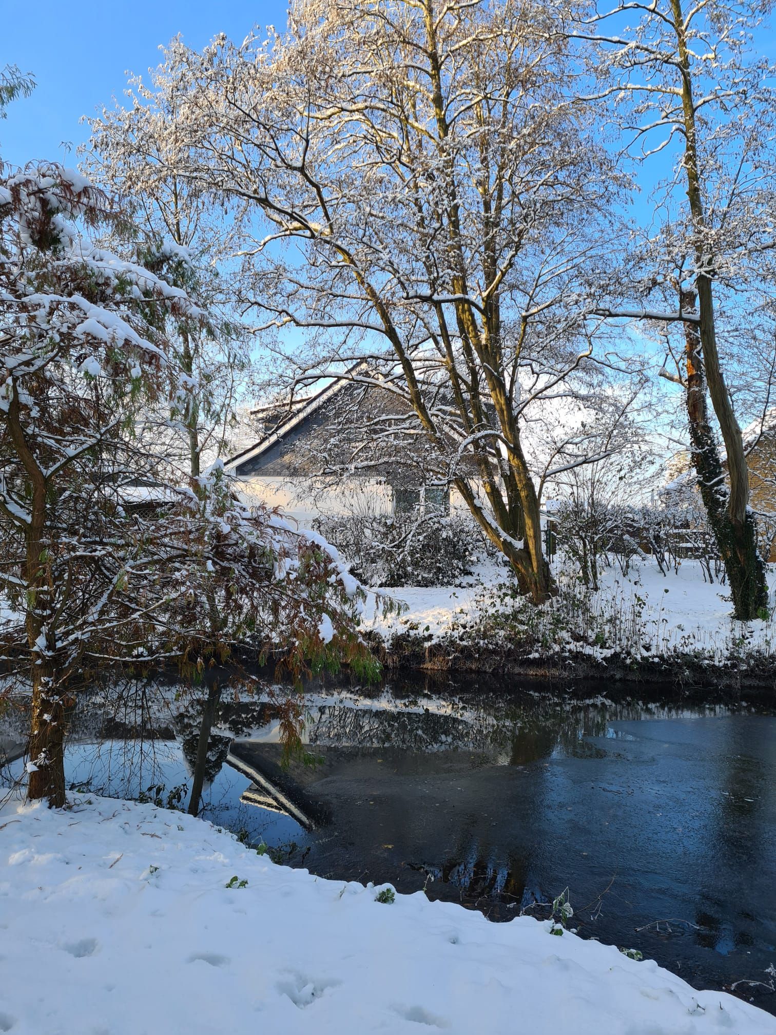  Fewo Mitten In Schleswig-Holstein  -  Fewo mitten in Schleswig-Holstein  - Gallery -  6
