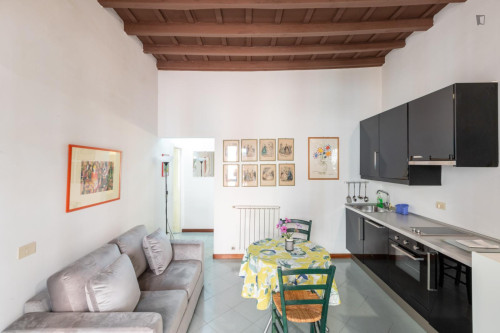 Excellent 1-bedroom apartment in the centre of Rome