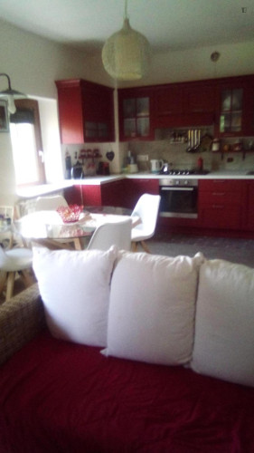 1-bedroom house, with outdoor area - Gallery - 9