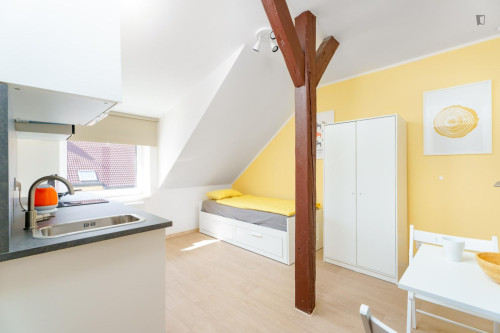 Cosy and neat studio in the Krč neighbouhoood