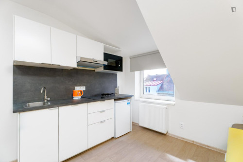 Cosy and neat studio in the Krč neighbouhoood