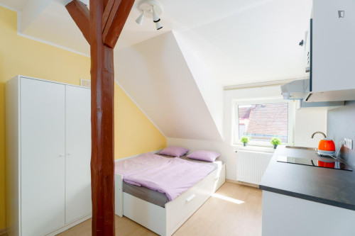 Very nice studio near the Prague-Kačerov train station