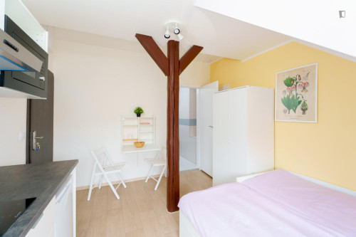 Very nice studio near the Prague-Kačerov train station