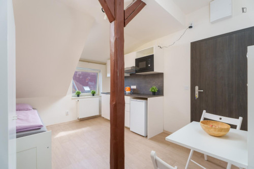 Very nice studio near the Prague-Kačerov train station