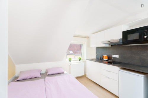 Very nice studio near the Prague-Kačerov train station