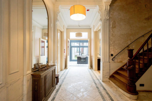 Nice studio in the centre of Antwerp