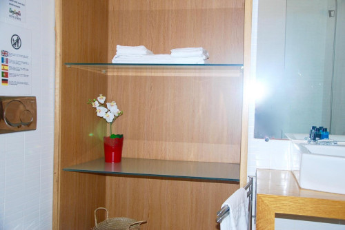 Charming and sunny Apartment in Chiado