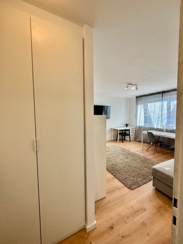 Newly renovated 3 room apartment with balcony,