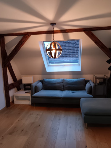 Cute suite with nice neighbours