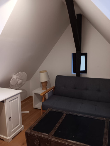 Cute suite with nice neighbours