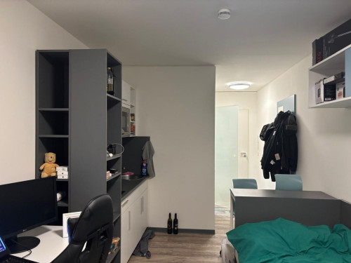 Dresden Brightly furnished room for rent – ​​€649 all-inclusive (electricity, internet, heat, water)