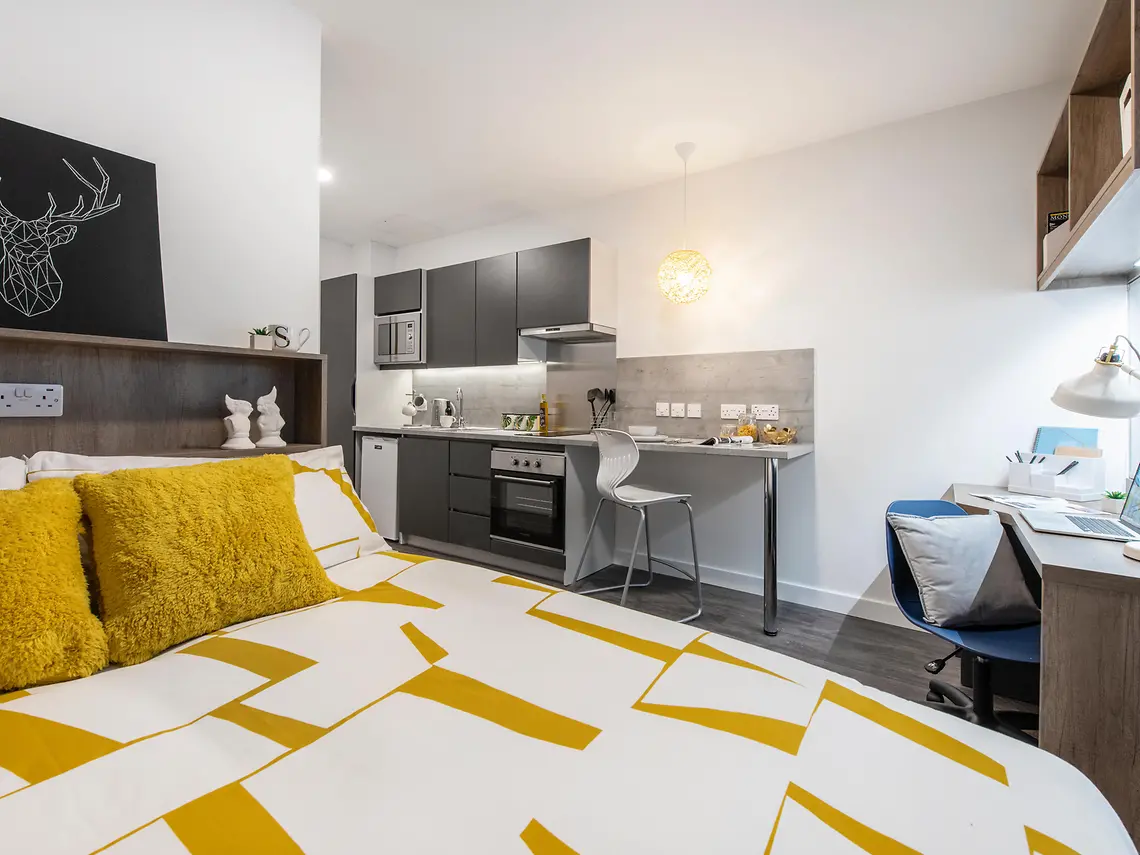  Premium Studio  -  Bailey Point  - Gallery -  1