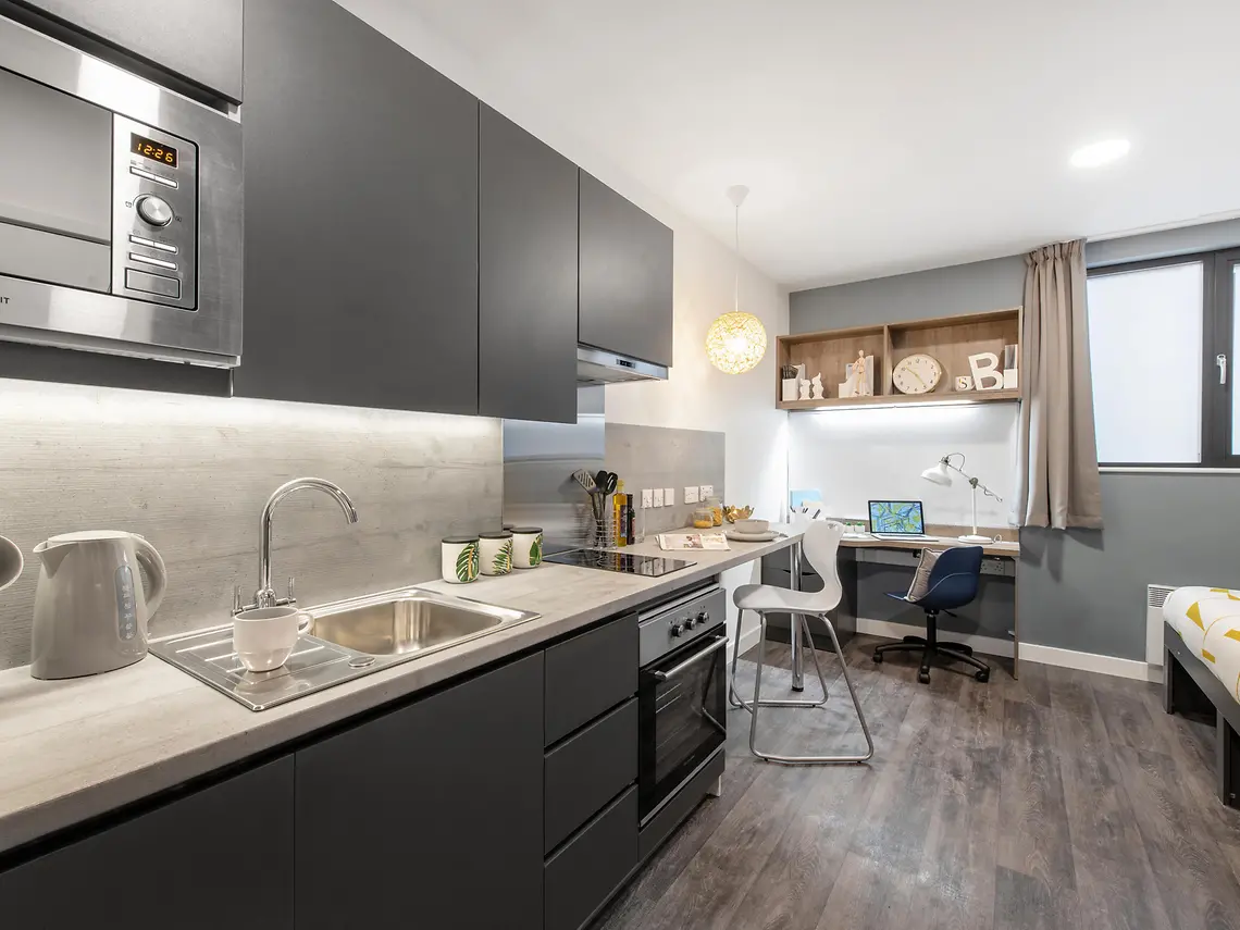  Premium Studio  -  Bailey Point  - Gallery -  2