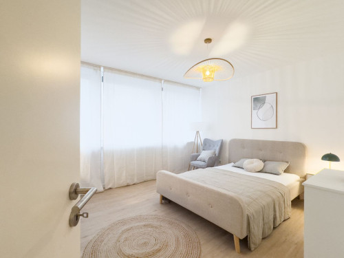 Co-living apartment in Ludwigshafen am Rhein