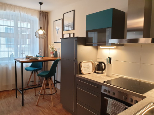 Cozy home close to city center of Karlsruhe-Durlach - Gallery - 5