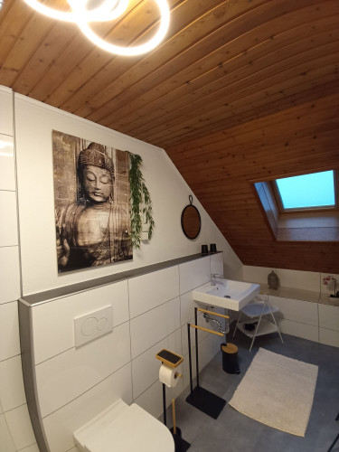 New, lovely loft in Neuhofen