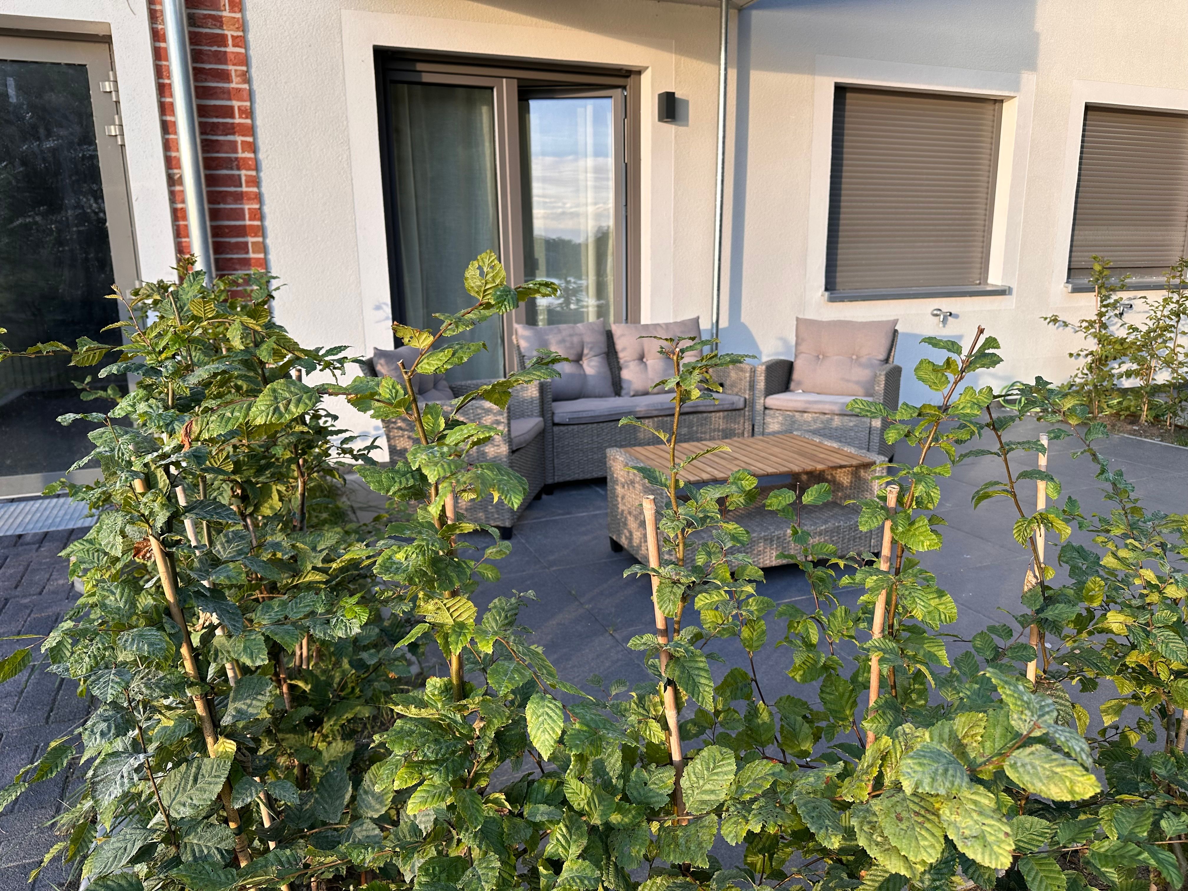  Perfect & New 1 Bedroom Fully Furnished Home In Neuruppin Lakeview  -  Perfect & new 1 bedroom fully furnished home in Neuruppin Lakeview  - Gallery -  7
