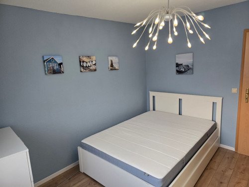 Small, furnished apartment in the center of Cottbus