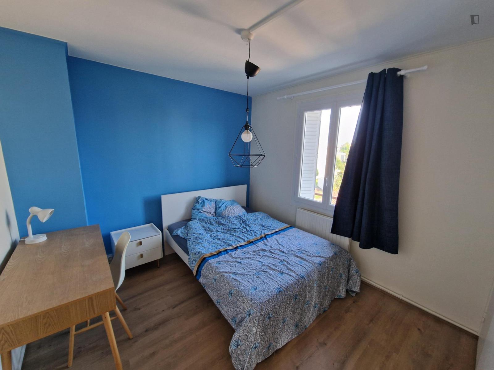 Pleasant Double Bedroom Near Université Claude Bernard Lyon 1 - 1