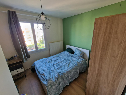 Very nice double bedroom in Villeurbanne