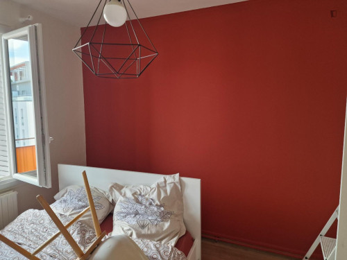 Homely double bedroom near Université Claude Bernard Lyon 1